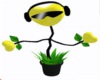 [RQ]Yellow Dancing Plant