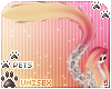 [Pets] Reni | tail v3