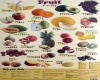 Fruits Poster