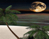 ☾ Island sunset night