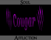 Cougar Headsign-Purple