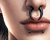 é Septum Set II