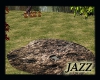 Jazzie-Got Mud 2