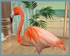 *Flamingo deco