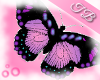 TB-Purple Butterfly