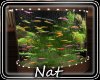 NT Country Fish Tank