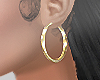 Gold Hoops