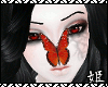 *H butterfly |F