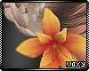 Yellow Ear Flower
