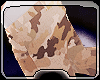 Camo Shorts
