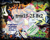 ~T~ The Matrix Trap Bx2