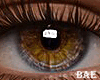 β. Real Eyes H-Chromia