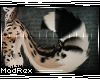 [x] K. Cheetah Tail