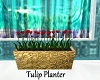Gold Tulip Planter