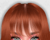 S. Donna Ginger