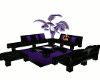 purple couch posed