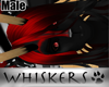 Whiskers: Demonik HairM1