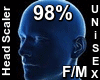 F/M Head Scaler 98%