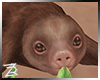 !R Sweet Sloth
