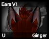 Ginger Ears V1