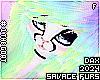 . Sugar | hair