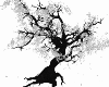 Tree / White -  Black