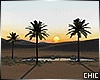 !T! Desert Oasis Sunset