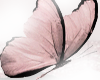 Pink Mariposa <3
