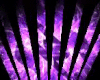 LAZER PURPLE