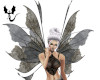Dark  Fairy wings