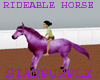 PURPLE RIDABLE HORSE