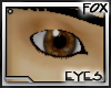 [F] Reflact Eye Brown