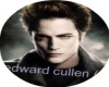 Edward Cullen Rug