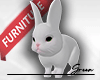🐇 Rabbit