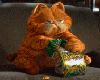 Vv Garfield Cat