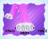 ꨄStacy Pawsꨄ