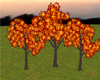 Autumntree