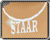 ~AN~Necklace STAAR