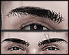 s. Henrry Eyebrown