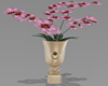 Pink Orchids in Vase