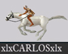 xlx Horse Animated xlx