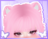 ʚɞ Bear Ears Rosy
