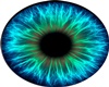 Blaue Augen 1