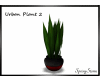 Urban Plant 2