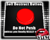 /Y/Self Destruct Button