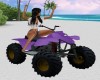Beach Cycle _ PURPLE