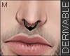 R_ Male Derivable Septum