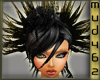 Blk & Gold Head Feathers