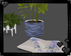 Arina Plants