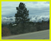 Di* Colorado Backdrop